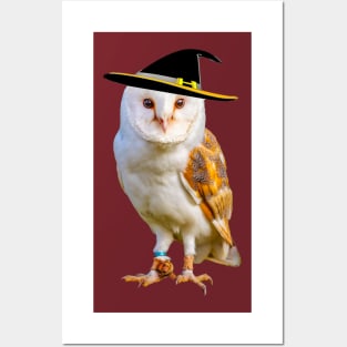 Wizard Barn Owl Posters and Art